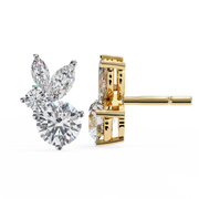 Arresting Cathedral Contour Earrings (ER14040)