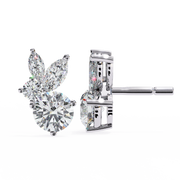 Arresting Cathedral Contour Earrings (ER14040)