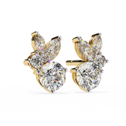 Arresting Cathedral Contour Earrings (ER14040)