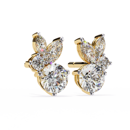 Arresting Cathedral Contour Earrings (ER14040)