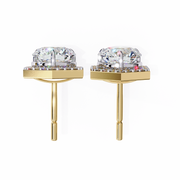 Dazzling Braided Ember Earrings (ER14041)