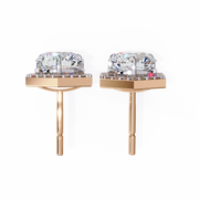 Dazzling Braided Ember Earrings (ER14041)