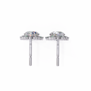 Luminous Bow Desire Earrings (ER14043)