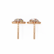 Luminous Bow Desire Earrings (ER14043)