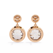 Hypnotic Leaf Affection Earrings (ER14044)