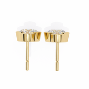 Hypnotic Leaf Affection Earrings (ER14044)