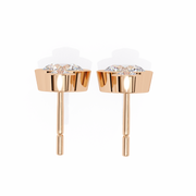 Hypnotic Leaf Affection Earrings (ER14044)