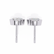 Hypnotic Leaf Affection Earrings (ER14044)