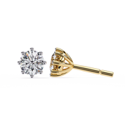 Majestic Knot Fire Earrings (ER14045)