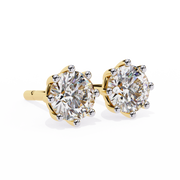 Majestic Knot Fire Earrings (ER14045)