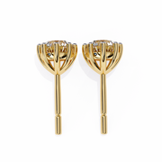 Majestic Knot Fire Earrings (ER14045)