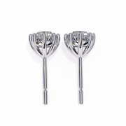 Majestic Knot Fire Earrings (ER14045)