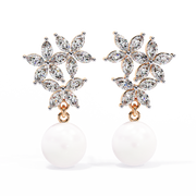 Arresting Infinity Dream Earrings (ER14050)