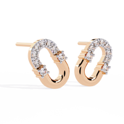 Mesmerizing Flower Orbit Earrings (ER14069)