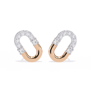 Mesmerizing Flower Orbit Earrings (ER14069)