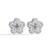 Aurora Moon Blood Earrings (ER14075)