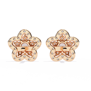 Aurora Moon Blood Earrings (ER14075)