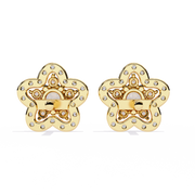 Aurora Moon Blood Earrings (ER14075)