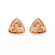 Gorgeous Sun Phantom Earrings (ER14078)