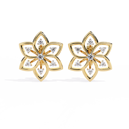 Enchanting Basket Thought Earrings (ER14085)