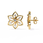 Enchanting Basket Thought Earrings (ER14085)