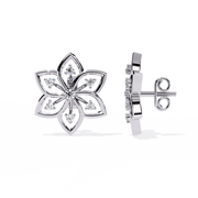Enchanting Basket Thought Earrings (ER14085)