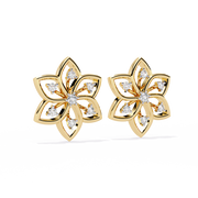 Enchanting Basket Thought Earrings (ER14085)