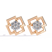 Dazzling Griffin Passion Earrings (ER14087)