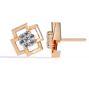 Dazzling Griffin Passion Earrings (ER14087)
