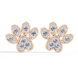 Striking Interlocking Form Earrings (ER14088)
