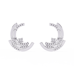 Aurora Dragon Nerve Earrings (ER14093)