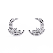 Aurora Dragon Nerve Earrings (ER14093)