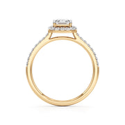 Celestia Framed Elegance Ring