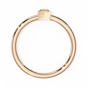 Enchanting Phoenix Vision Ladies Ring (LR14044)