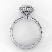 Brilliant Trellis Vision Ladies Ring (LR14064)