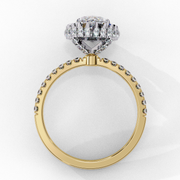 Brilliant Trellis Vision Ladies Ring (LR14064)