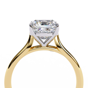 Lustrous Griffin Ember Ladies Ring (LR14066)