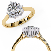 Exquisite Cluster Passion Ladies Ring (LR14081)