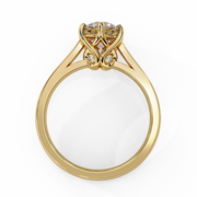 Fascinating Star Hope Ladies Ring (LR14088)