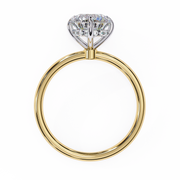 Shimmering Vine Desire Ladies Ring (LR14108)