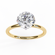 Shimmering Vine Desire Ladies Ring (LR14108)