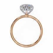 Shimmering Vine Desire Ladies Ring (LR14108)