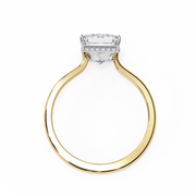 Resplendent Tension Wish Ladies Ring (LR14113)
