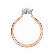 Radiant Bird Echo Ladies Ring (LR14114)