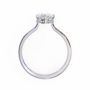 Radiant Bird Echo Ladies Ring (LR14114)