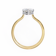 Radiant Bird Echo Ladies Ring (LR14114)