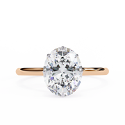 Grand Bar Form Ladies Ring (LR14115)