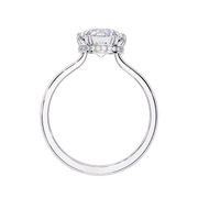 Gorgeous Griffin Skeleton Ladies Ring (LR14116)