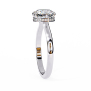 Gorgeous Griffin Skeleton Ladies Ring (LR14116)