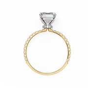 Magnificent Infinity Affection Ladies Ring (LR14118)